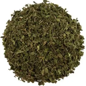 Feuille d'ortie